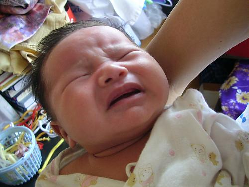 大小: 636.88 K尺寸: 500 x 375浏览: 2298 次点击打开新窗口浏览全图