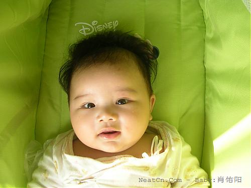 大小: 375.17 K尺寸: 500 x 375浏览: 1711 次点击打开新窗口浏览全图